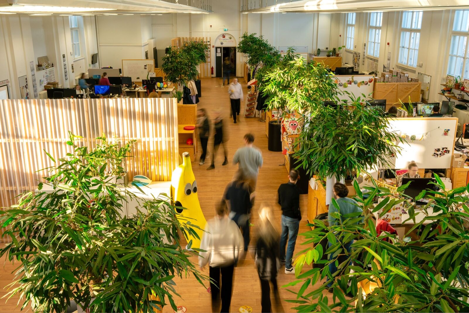 Company Picture