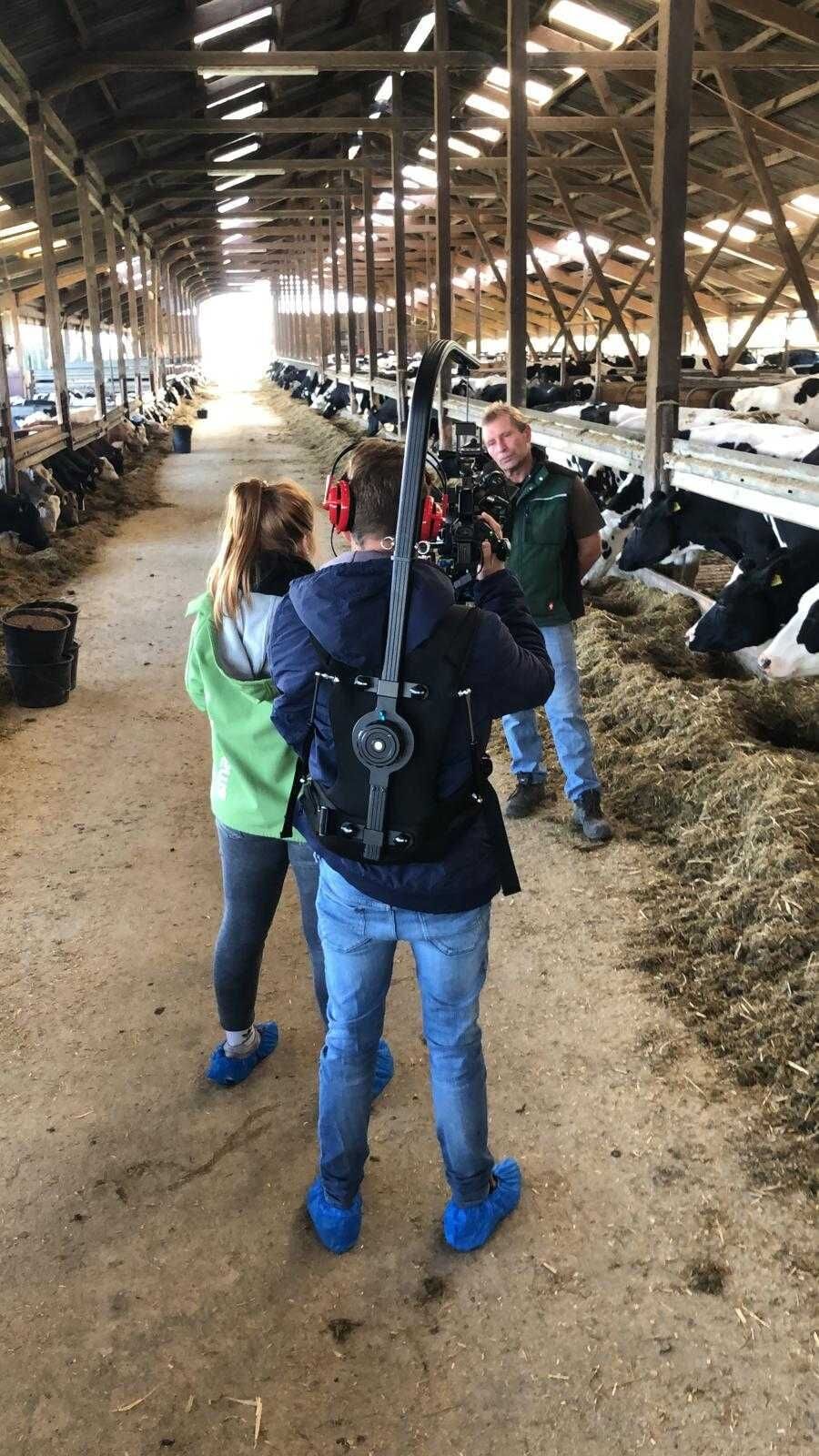 Company Picture
