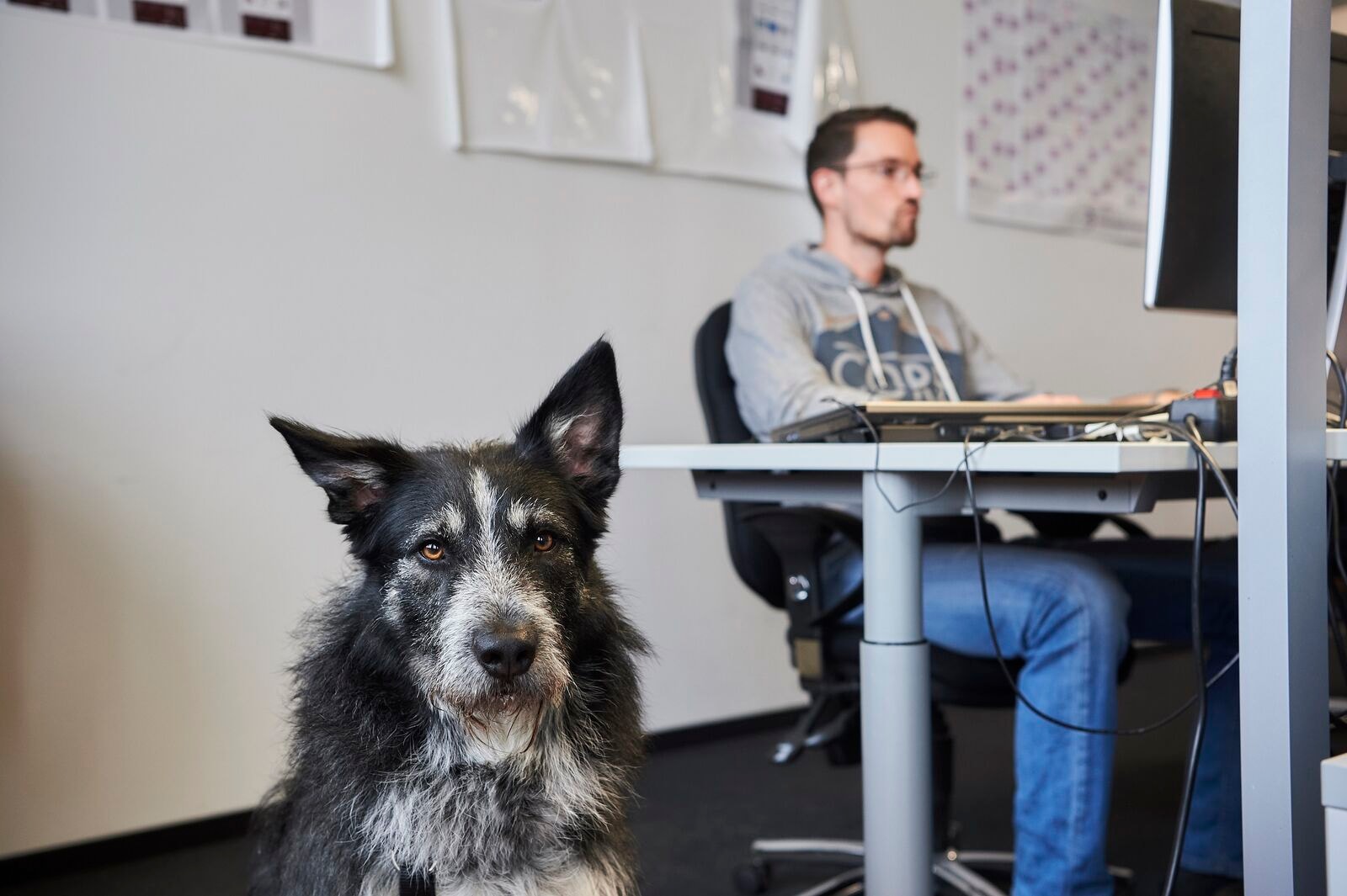 Company Picture