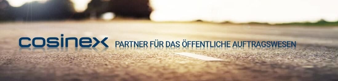 cosinex GmbH - Karriere