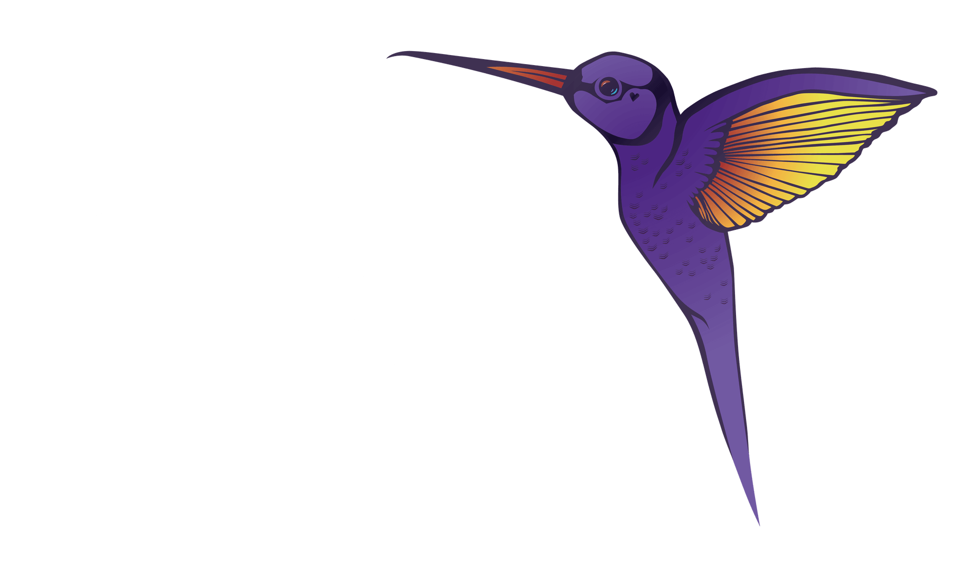 Karriere bei i Live