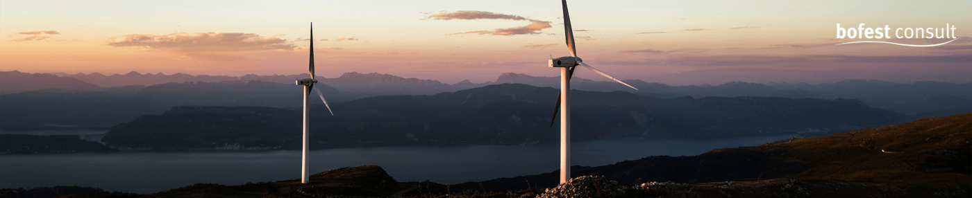 Consultant Energiewirtschaft (all genders)