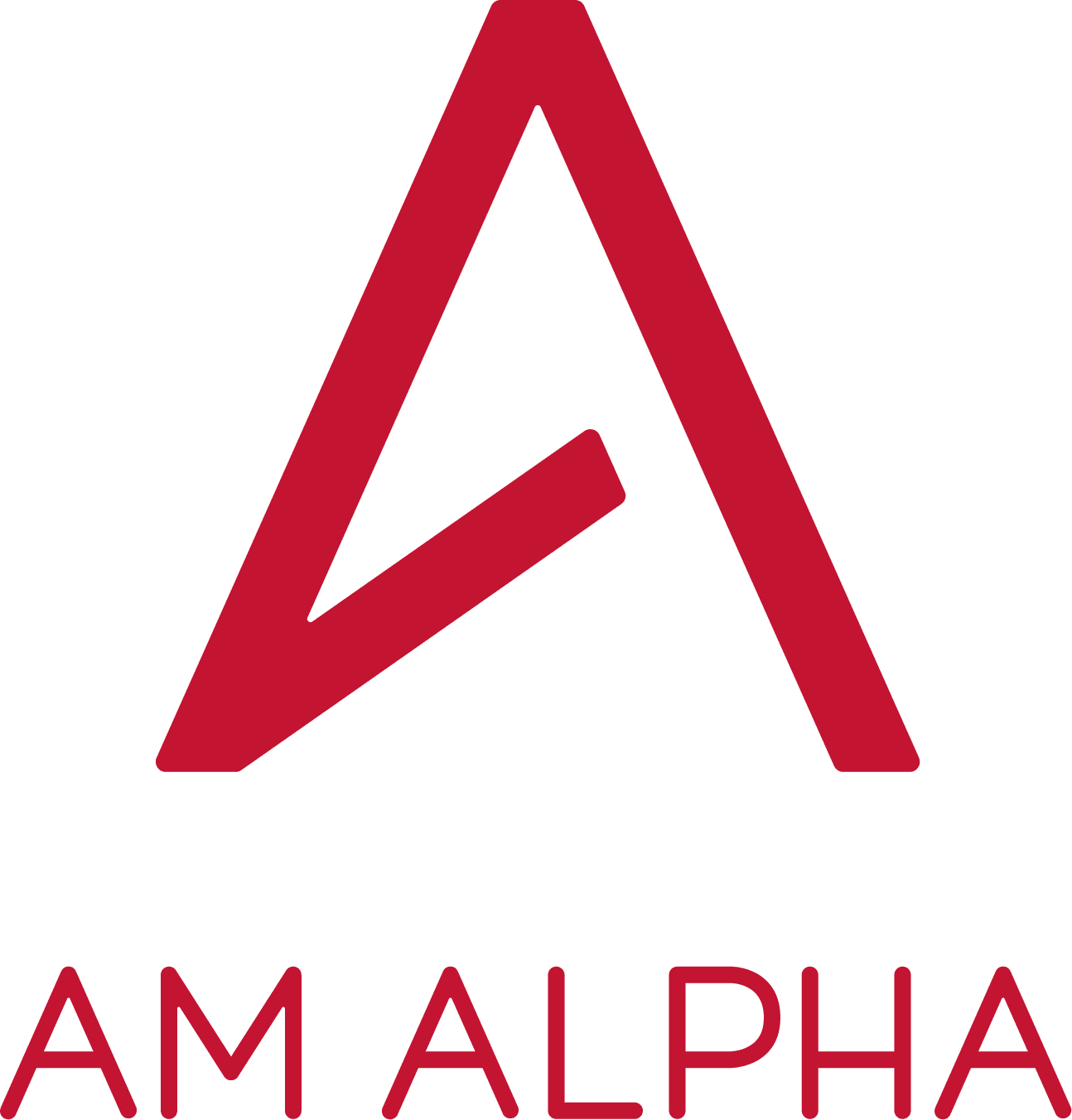 Ihre Karriere bei AM ALPHA