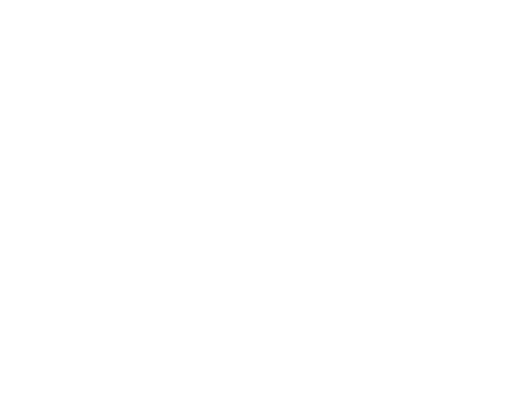 Ihre Karriere bei Sancovia