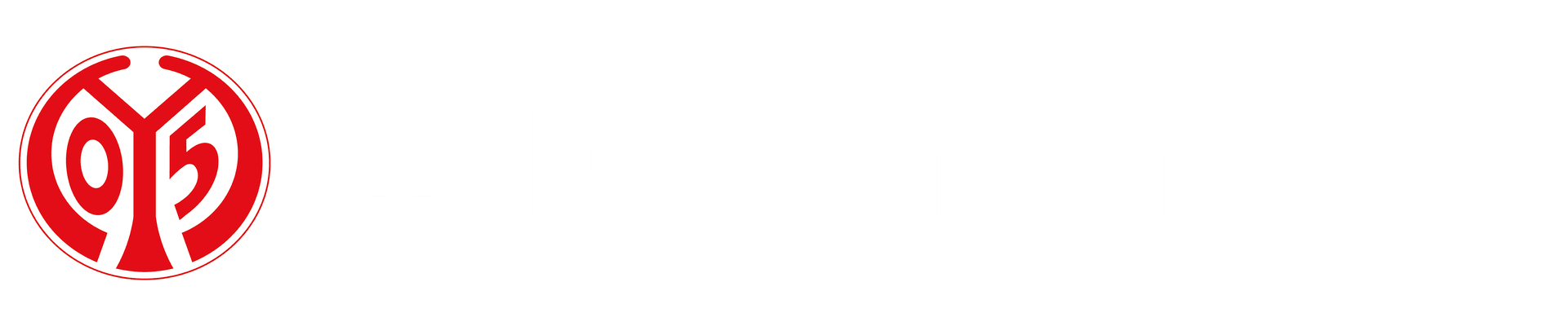 Dein Job beim 1. FSV Mainz 05