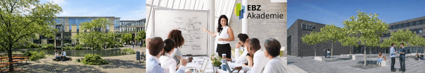 Trainer:in (m/w/d) Personal- und Organisationsentwicklung