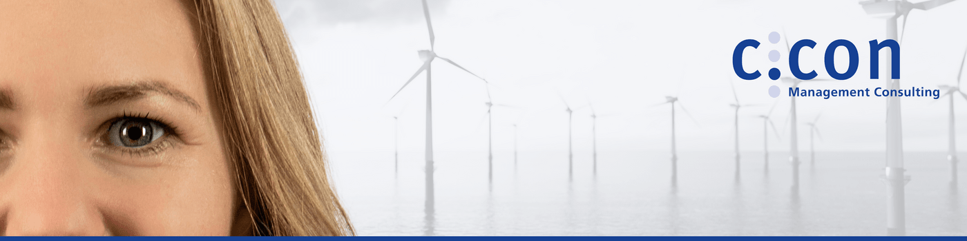 Senior Expert:in Energiewirtschaft (d/m/w)