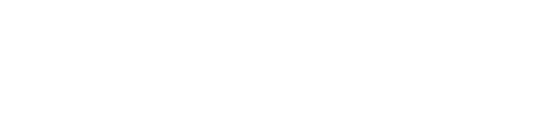 Karriere bei Serafin