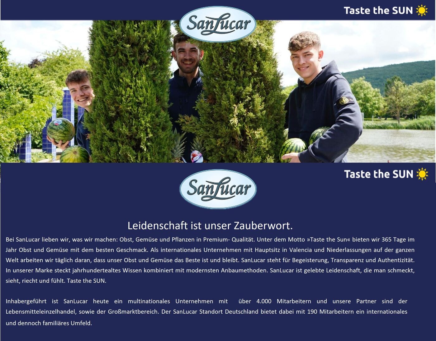 Backoffice Mitarbeiter/ Administration (m/w/d)