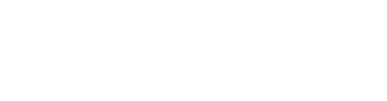 ADVITOS Karriere