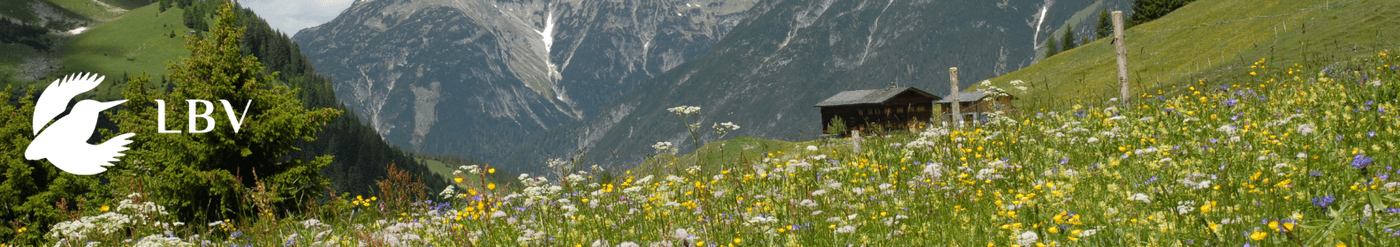 Bundesfreiwilligendienst in der NAJU (m/w/d)