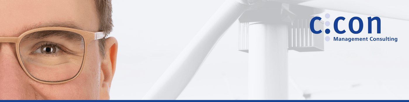 Senior Strategie- und Managementberater:in / Manager:in (d/m/w)